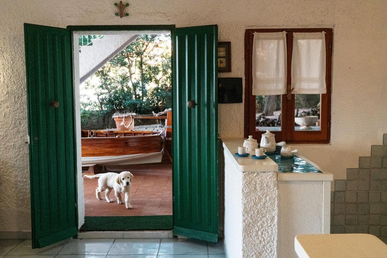 Villa Angela Santa Teresa Gallura Exteriör bild